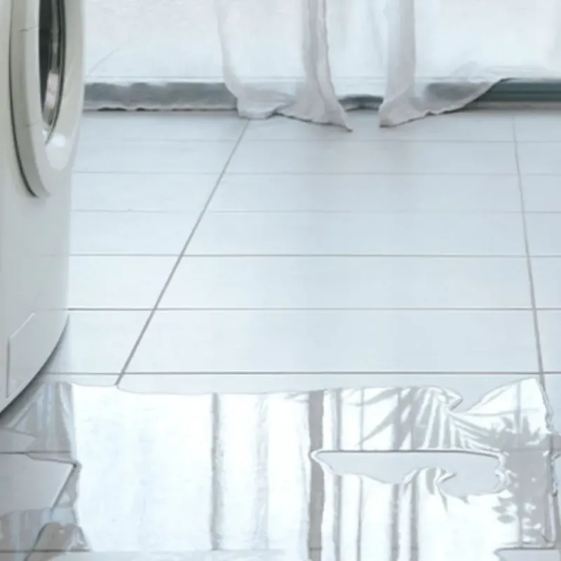 Appliance Leak Cleanup in Watkinsville, GA